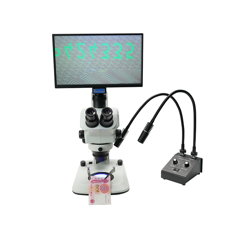 BSL-3D LED Light Source