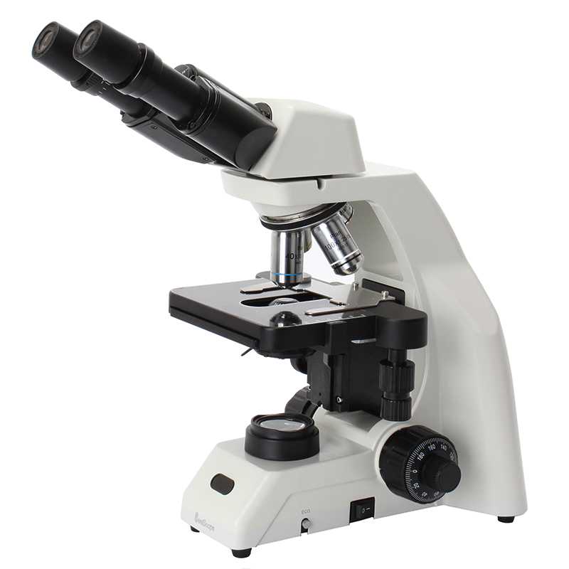 BS-2052B(Plan) Binocular Biological Microscope