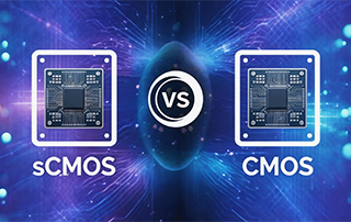 CMOS vs sCMOS Microscope Cameras: How to Choose the Right Sensor?
