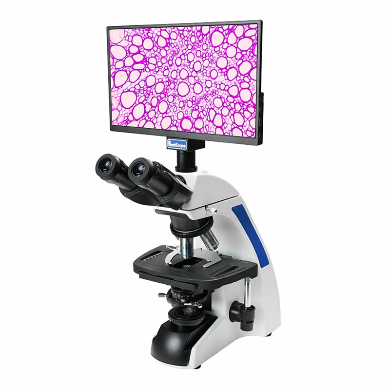 BS-2037AT Trinocular Biological Microscope