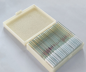 Rock Section 25-Piece Set Prepared Slide Sets