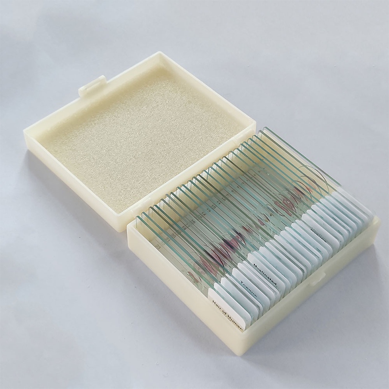 Mix Slides 100-Piece Set for Higher Education Prepared Slide Sets